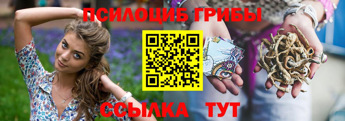 Галлюциногенные грибы мицелий  Вход с VPN  Ивантеевка  Псилоцибиновые грибы Psilocybine cubensis 